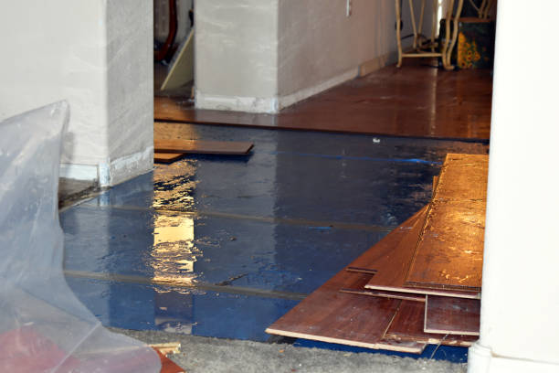 Professional Flood Cleanup technician working in North Lawrence, OH